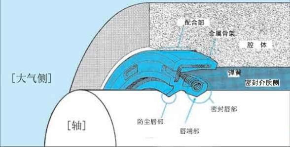 橡膠油封唇口示意圖