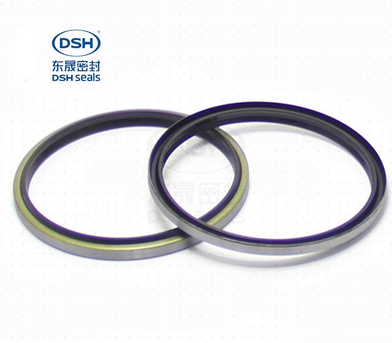 防塵油封具備哪些特點(diǎn)？