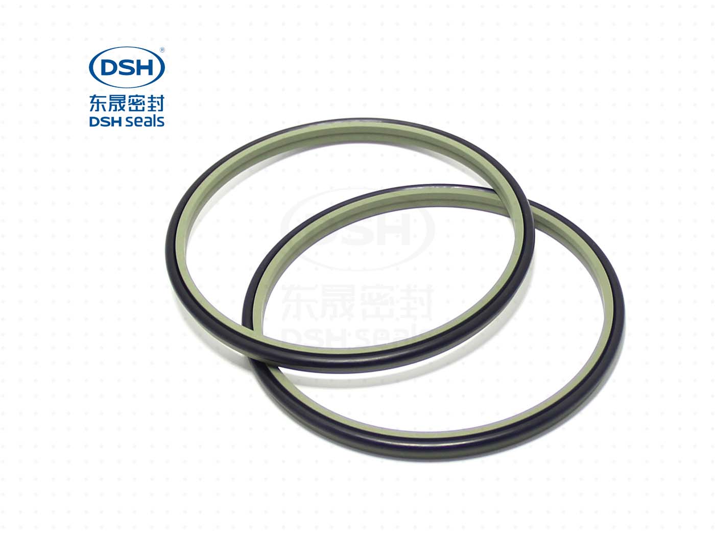 DSZ防塵油封