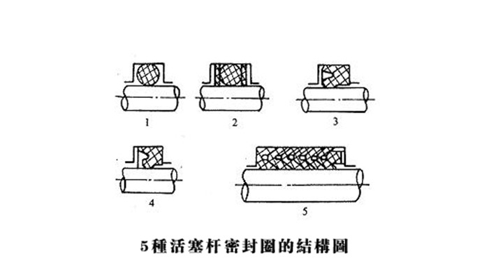 5種活塞桿油封的結(jié)構(gòu)圖2.png