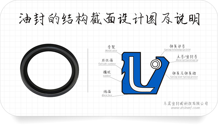 油封的外緣部4種泄漏方式及9條原因分析匯報(bào)！油封的唇口10種泄漏原因及26條分析結(jié)果表！