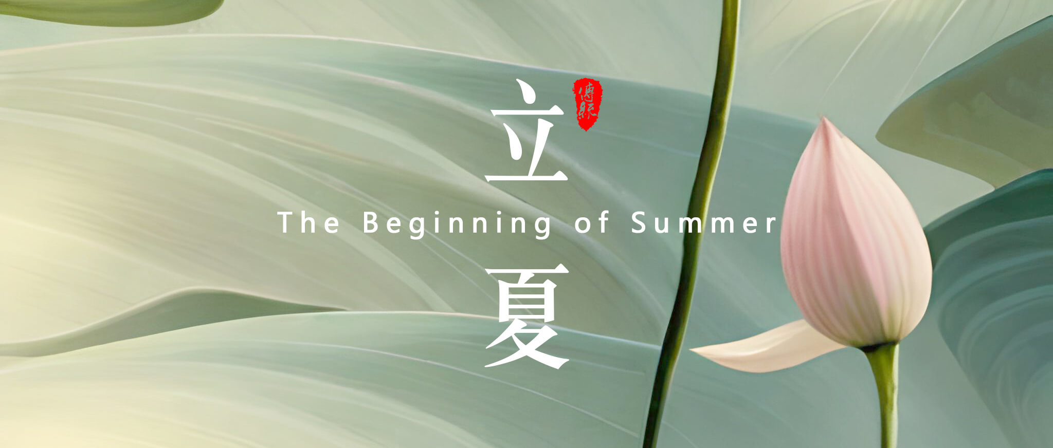 立夏：夏天的開始！