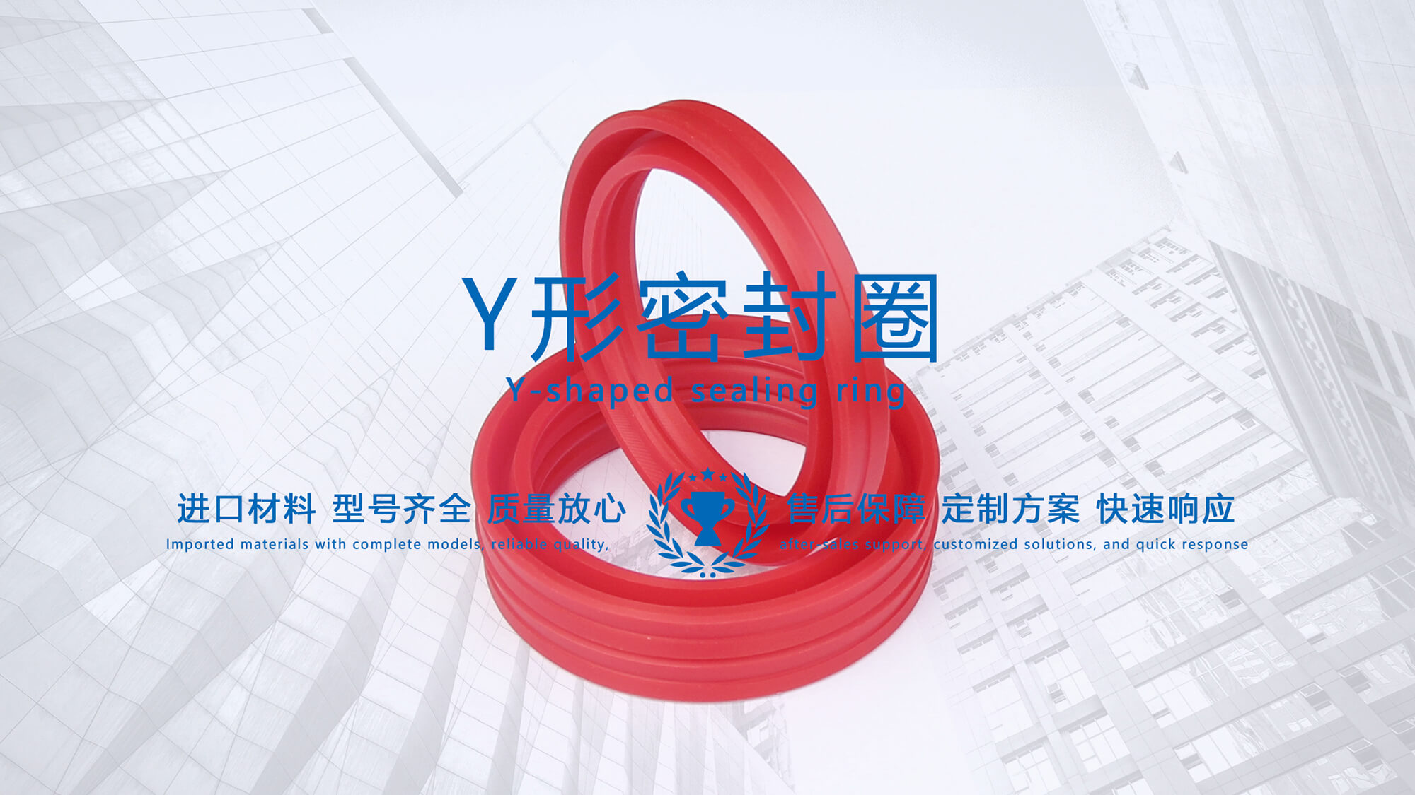 y型密封圈（又Y形密封圈，Y形圈，Y型圖或唇形密封圈，密封件油封膜片） (3)