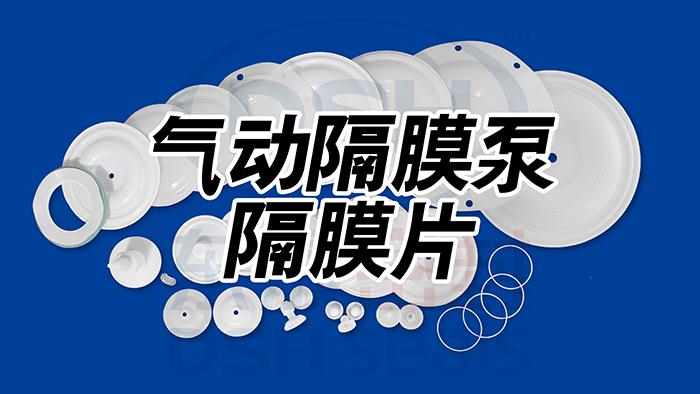 氣動(dòng)隔膜泵隔膜片油封